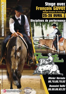 affiche stage fguyot 2015                